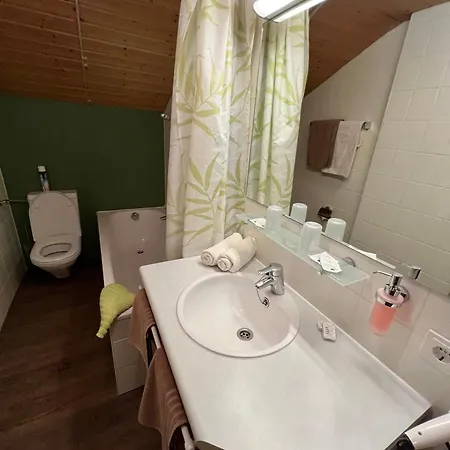 Daire Haus Kneissl Seefeld in Tirol